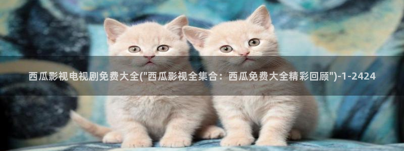 妈妈的朋友西瓜影院