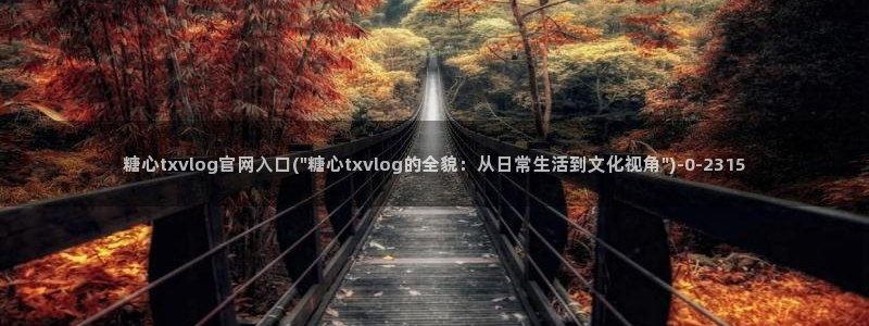  糖心vlog app：糖心txvlog官网入口(\