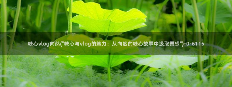  糖心vlog合集：糖心vlog向然(\