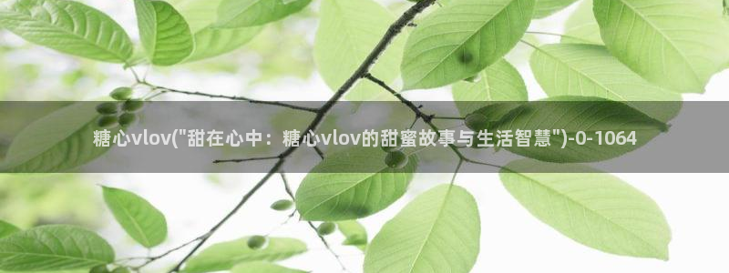  糖心vlog淑怡：糖心vlov(\