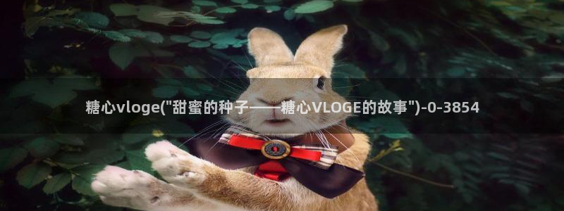  糖心vlog视频网站：糖心vloge(\