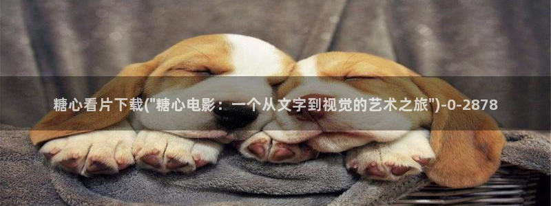  糖心vlog 网页版下载安装：糖心看片下载(\