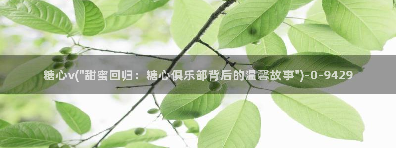  心糖vlog免费在线观看：糖心v(\