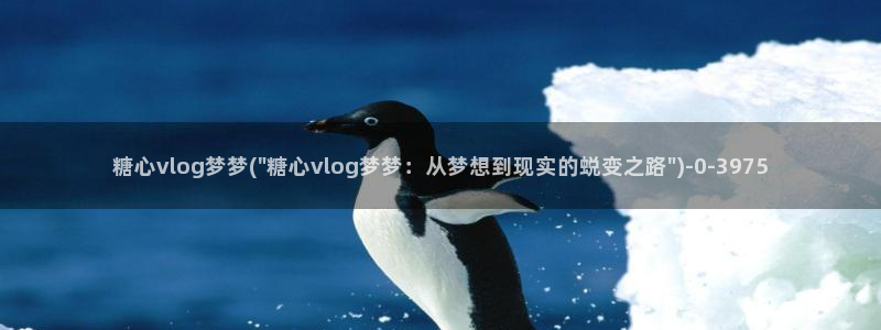  糖心vlog视频网站：糖心vlog梦梦(\