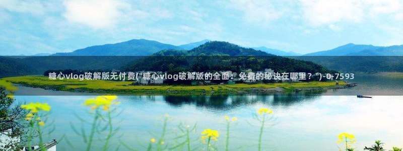 糖心vlog视频在线免费观看