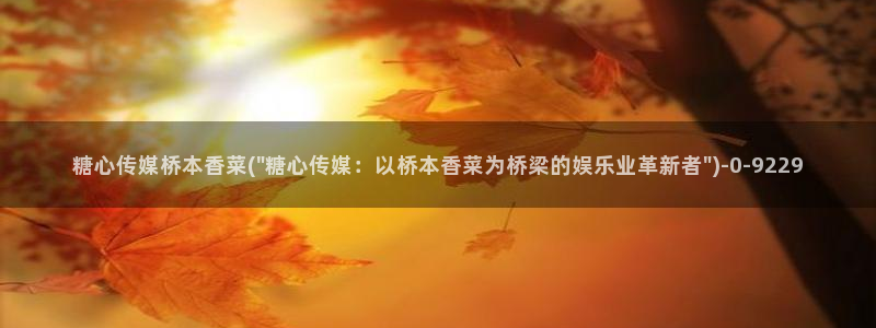 糖心vlog进入在线