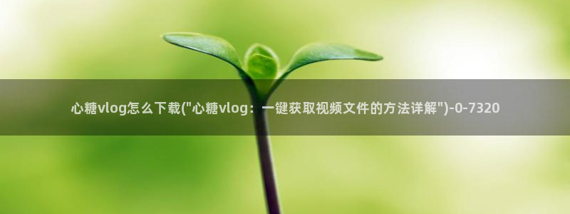 唐伯虎糖心vlog高三