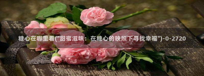 糖心txvlogcom