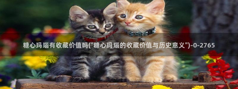 心糖vlog视频
