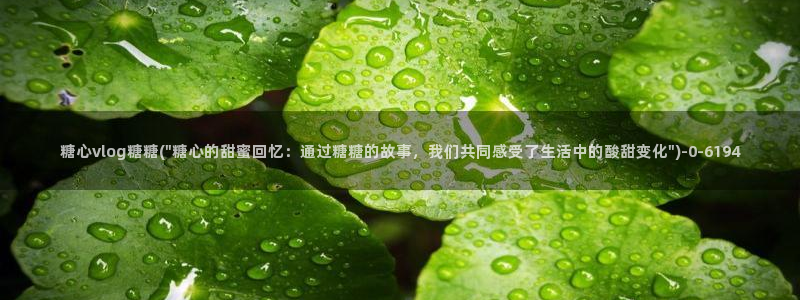 糖心vlog在线观看地址