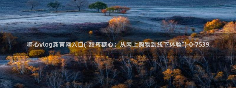 糖心vlog在线官网